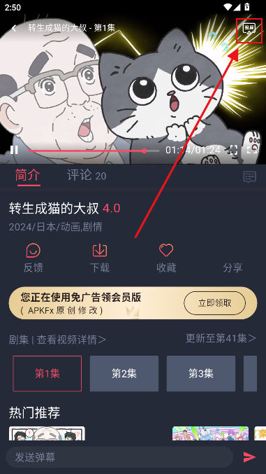 綯޹