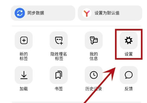 ˹Yandex Browser