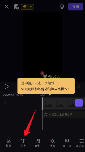 VivaCut