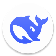 DeepSeek1.2.3 °