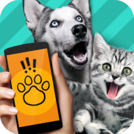 Pet TranslatorԻ1.1 °