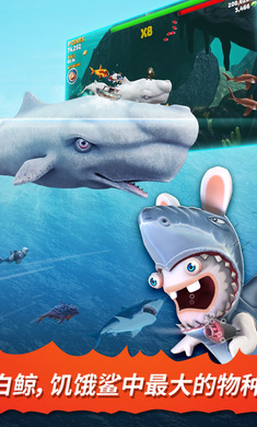 ʯҰ(Hungry Shark)ͼ