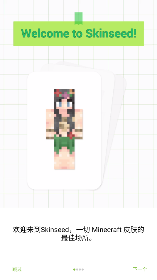 Skinseedĺͼ