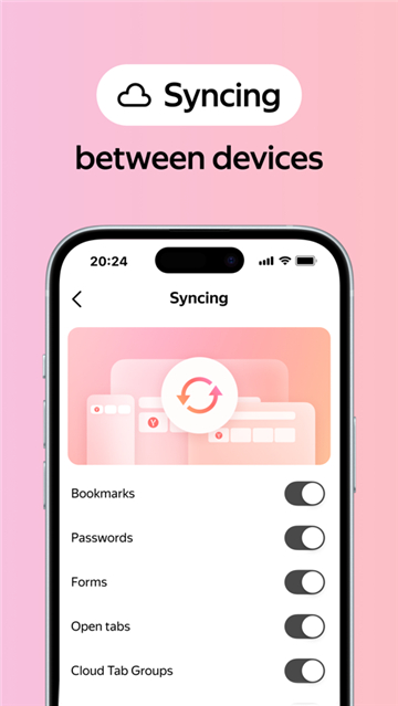 ˹Yandex Browserͼ