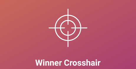 Winner Crosshair׼