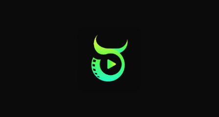 ţ