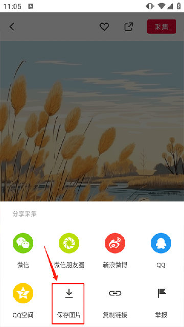 زͼ
