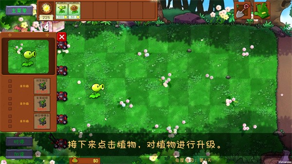 pvz