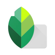 Snapseed2025ٷ 2.22.0.633363672