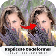 CODEFORMERİ 1.9 °