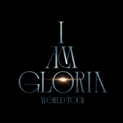 ӦԮ(IAG Official Light Stick) 25.8.51 °